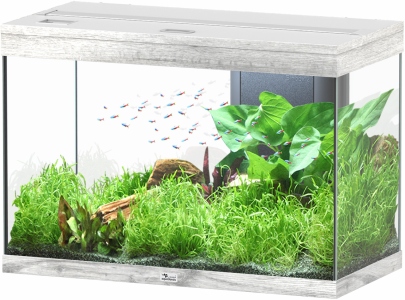 Splendid Ultra 145 Esche Weiß Aquarium