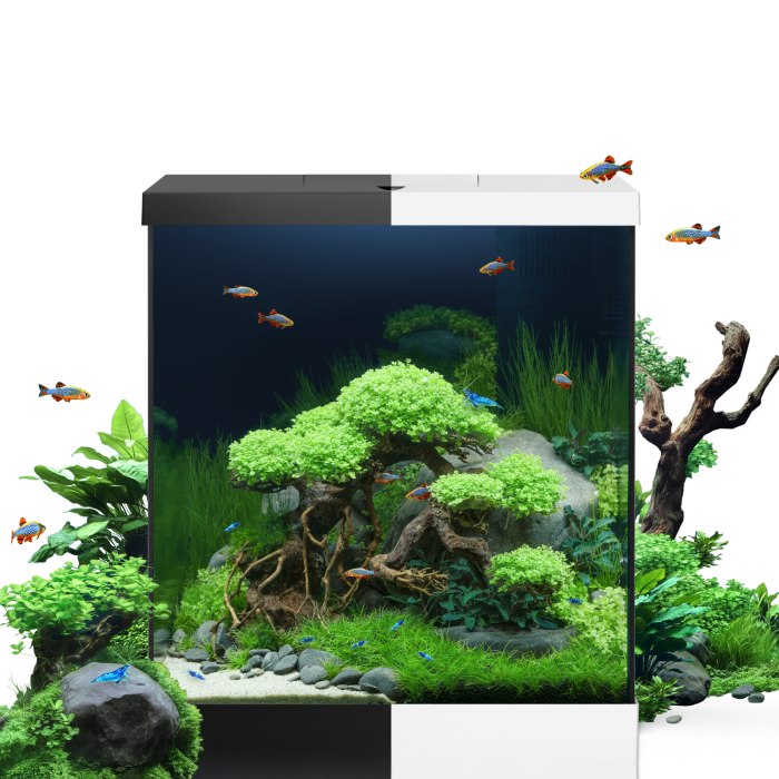 Vio Cube 54 schwarz Aquarium