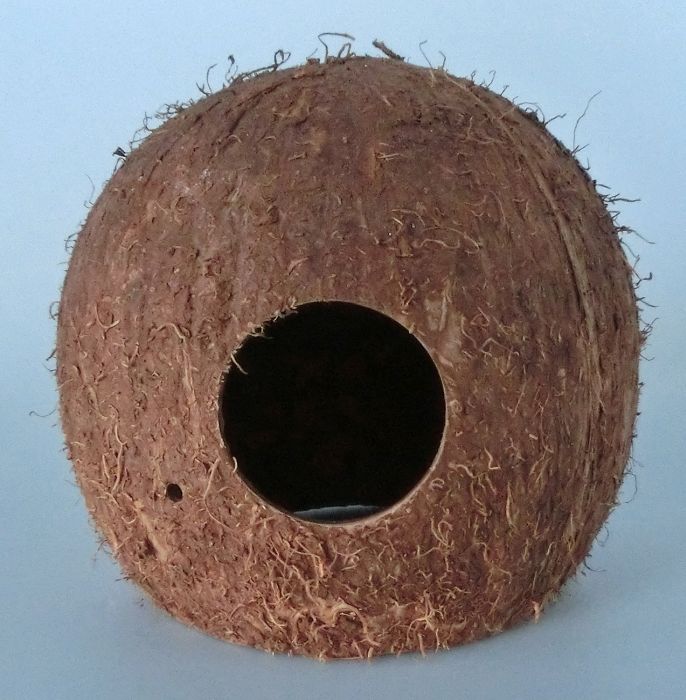 Kokosnuss-Höhle M