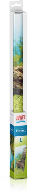 Poster 1 L (100 x 50 cm)