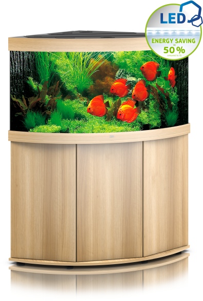 Trigon 350 LED SBX helles Holz Kombi