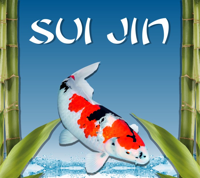 Sui_Jin35033583450048e59cb2b5a143051750