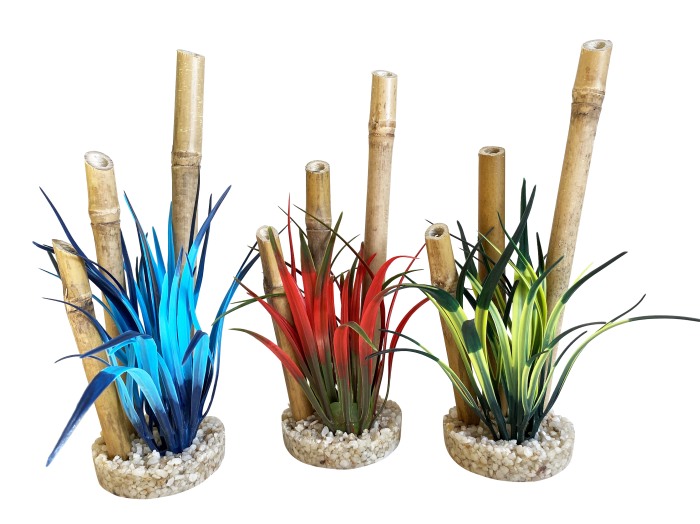Bambou forêt plantes 20 cm de haut [P6]