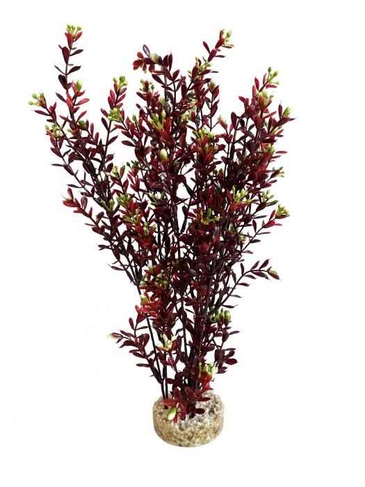 Floraison XL 35 cm de haut [P5]