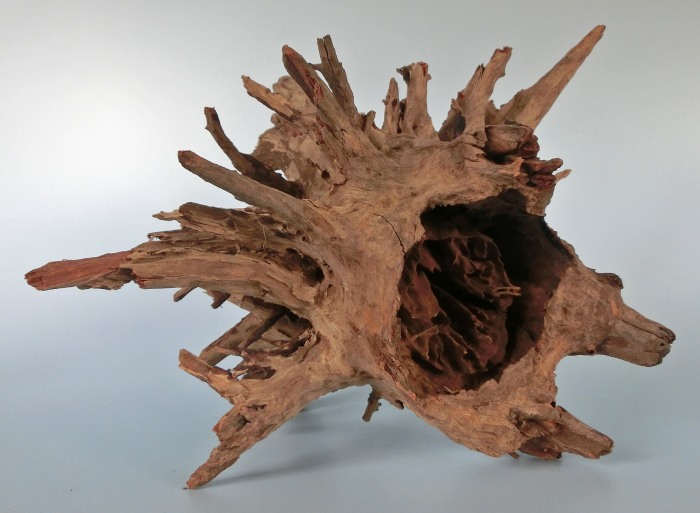 CorboWurzel Medium 40-50 cm