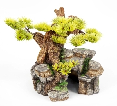 Bonsai