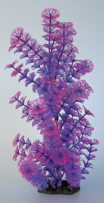 Pflanzen Deluxe XL Nr. 8 (32 - 38 cm)