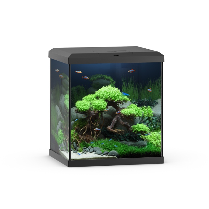 Vio Cube 54 schwarz Aquarium