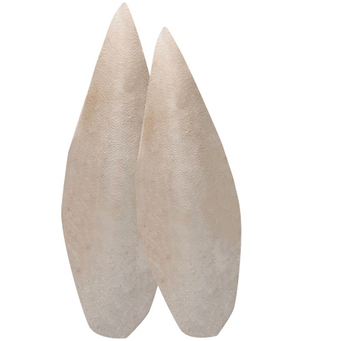 Sepia Bone