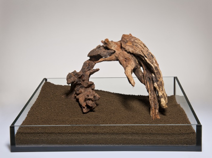 Flusswurzel sortiert Mix (1kg) [P15]