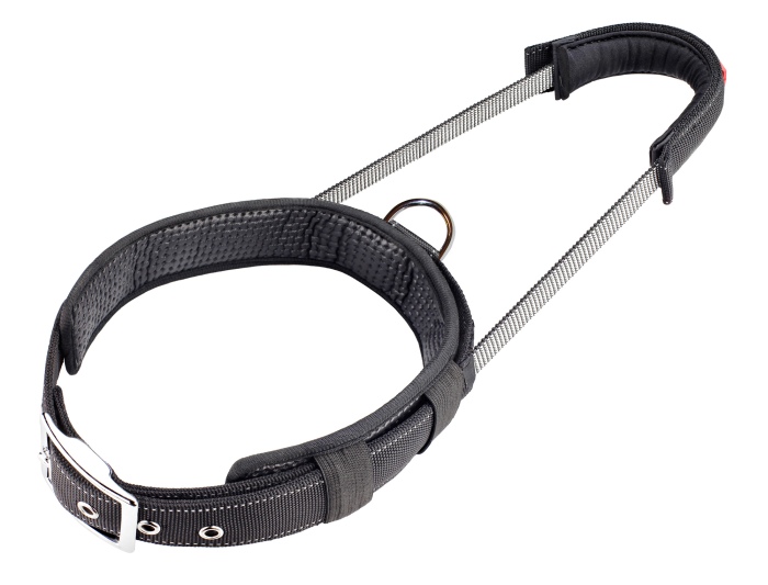Sport Collar L Black