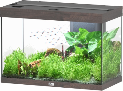 Splendid Ultra 145 Wildeiche Dunkel Aquarium