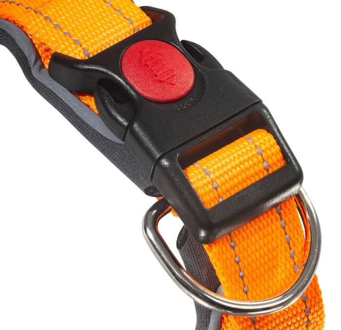 Dog Control Halsband S orange