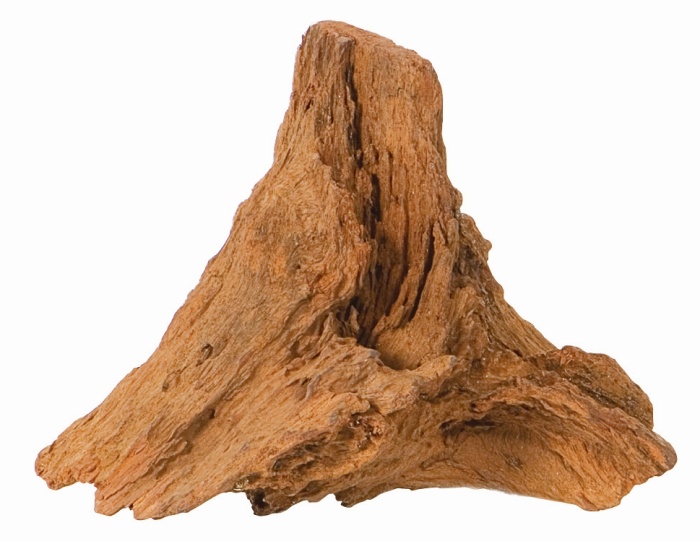 Mangrovenwurzel S, 15-25 cm