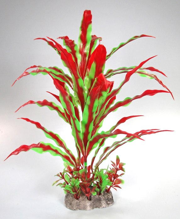 Pflanzen Deluxe M Nr. 34 (18 - 22 cm)