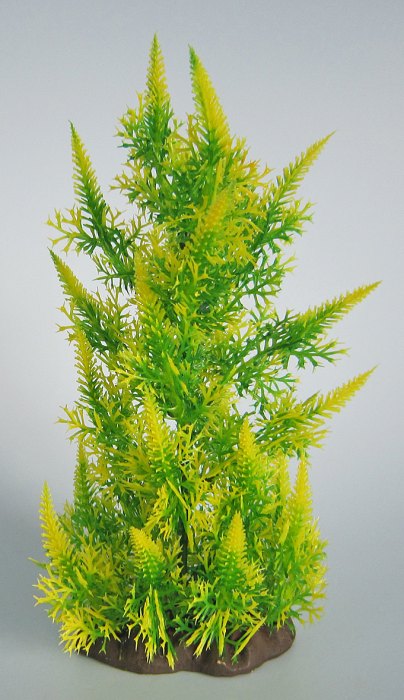 Pflanzen Deluxe M Nr. 18 (18 - 22 cm)