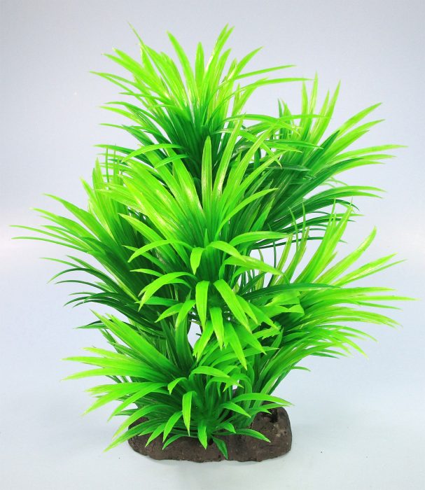 Pflanzen Deluxe M Nr. 37 (18 - 22 cm)