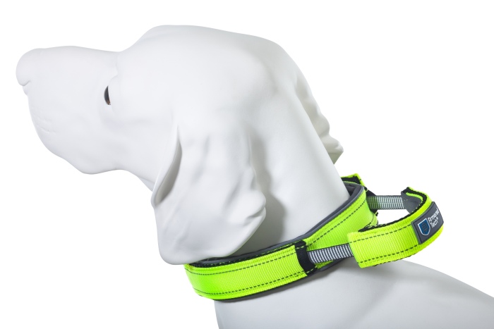 Dog Control Halsband XL neon grün
