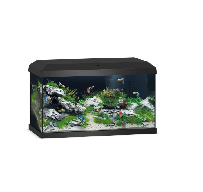 Primo 60 2.0 schwarz