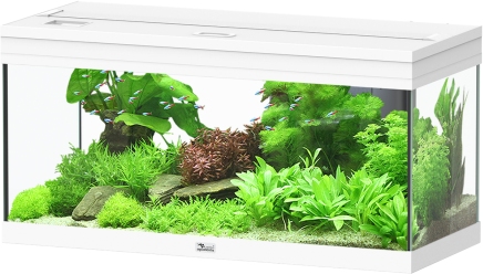 Prestige 80 Weiß Aquarium
