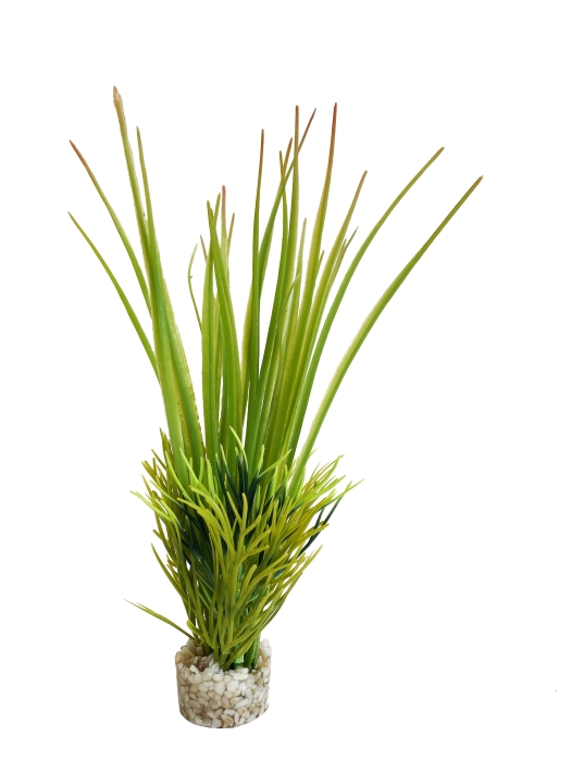 Oasis bébé 18 cm de haut [P12]