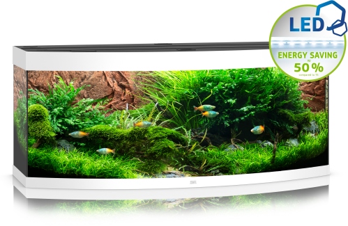 Vision 450 LED weiß Aquarium (2021) Vision 450 LED weiß Aquarium (2021)