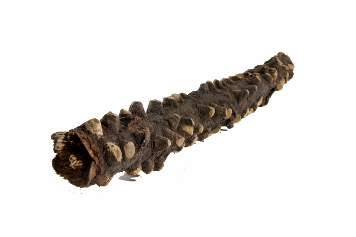 Kletter-Holz S (20-30 cm)