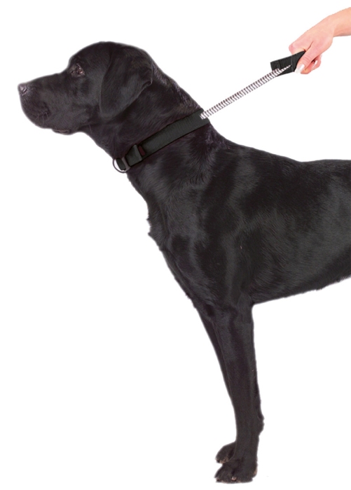 Sport Collar L Black