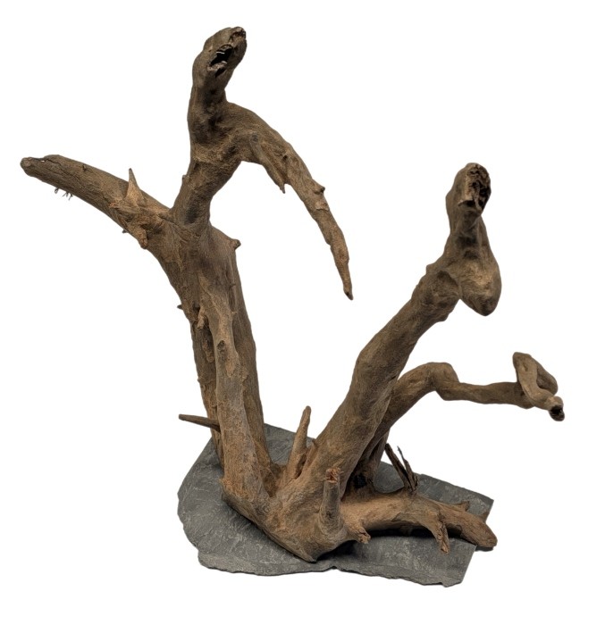 Me Euca Wood on Slate M (28-35 cm) [P6]