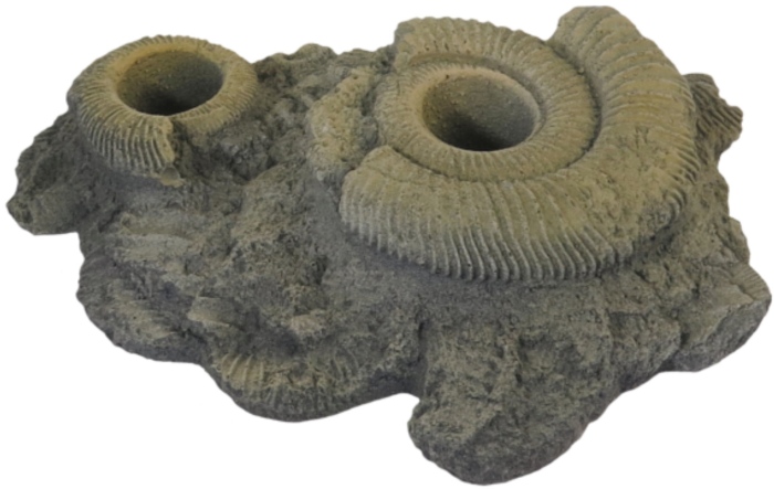 Pflanzhilfe 12 Fossilien