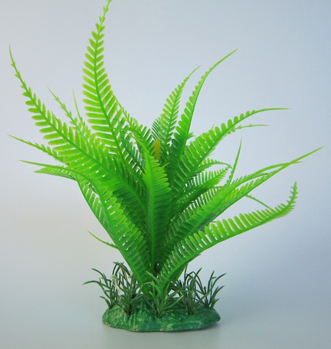Pflanzen Deluxe M Nr. 4 (18 - 22 cm)