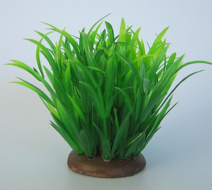 Pflanzen Deluxe S Nr. 7 (8 - 12 cm)