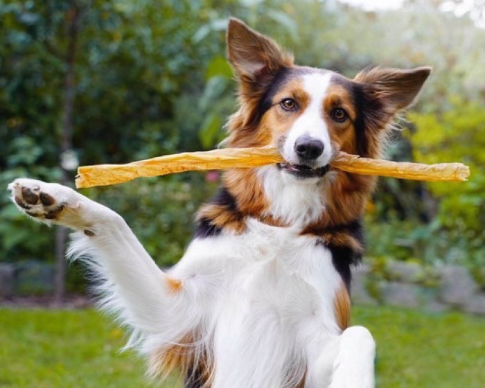 Dog Macaroni (60 g)