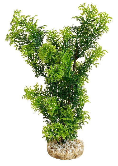 Jungle moyen 28 cm de haut [P6]