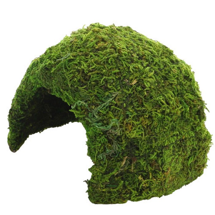 Jungle Cave 2 (17 x 17 x 12 cm)