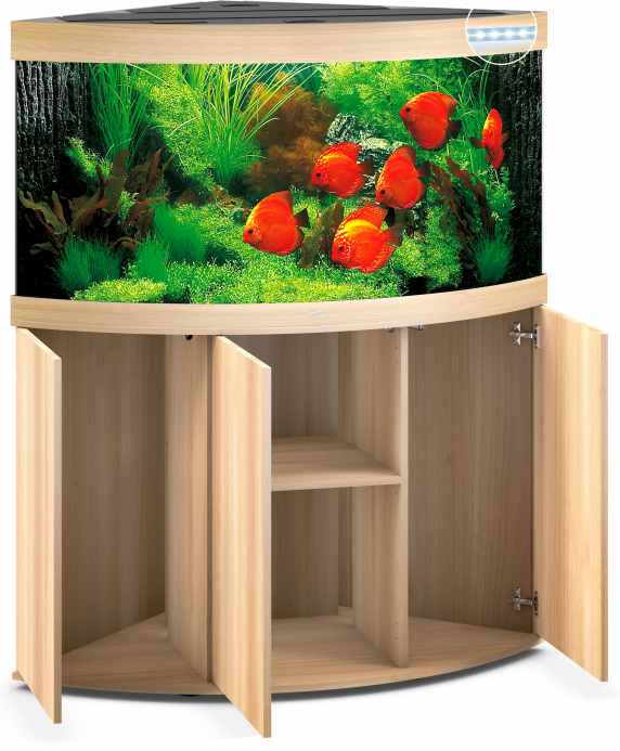 Trigon 350 LED SBX helles Holz Kombi