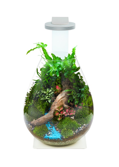 Magnetic Light (10 W) + Ständer + Bowl