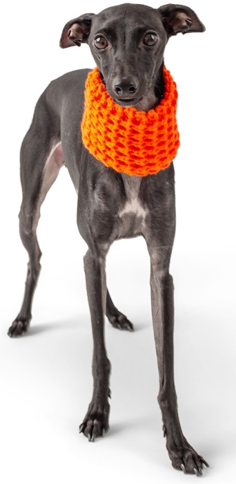 SCOUT Tube Scarf - Orange - L