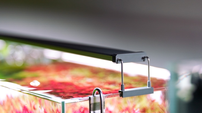 Holder for B20, extendable