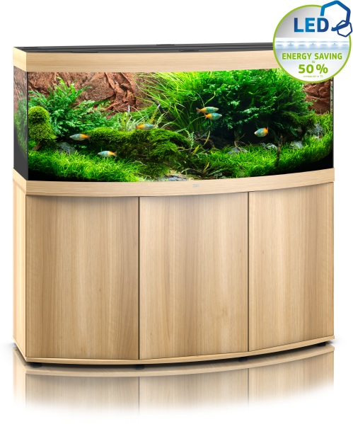 Vision 450 LED SBX helles Holz Kombination (2021)