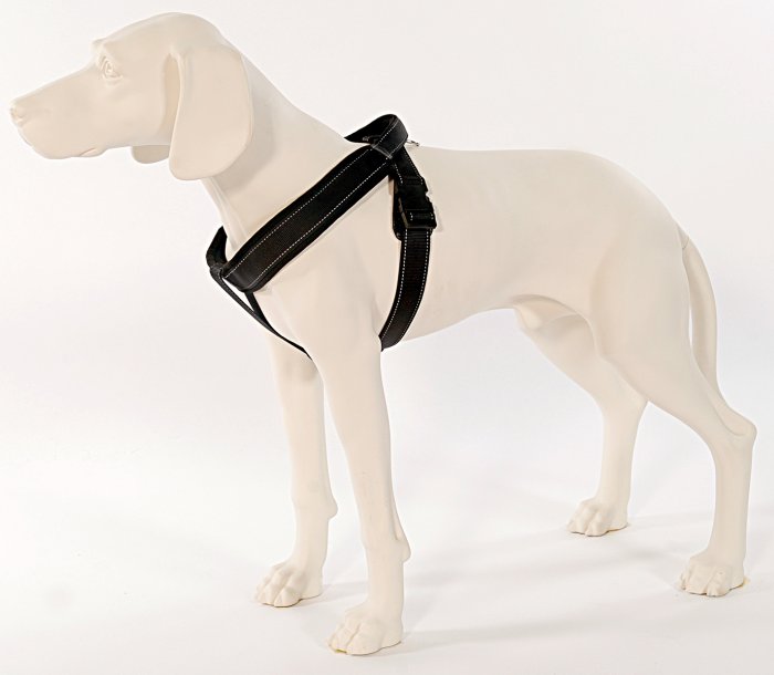 Sport Harness Long Line XXL black