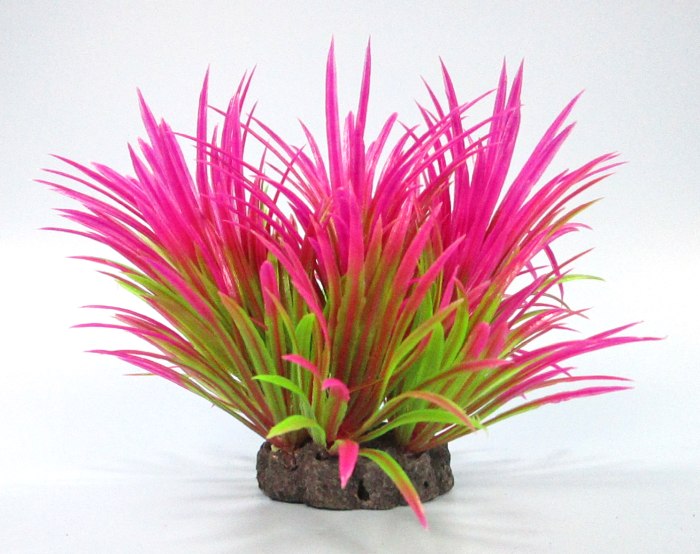 Pflanzen Deluxe S Nr. 38 (8 - 12 cm)