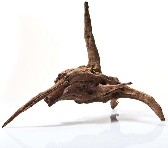 Flusswurzel sortiert Mix (1kg) [P15]