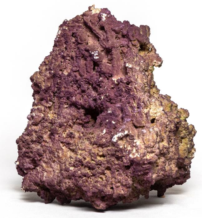 Jurassic Reef Rock, Boîte M (pour aquarium de 100–200 L)