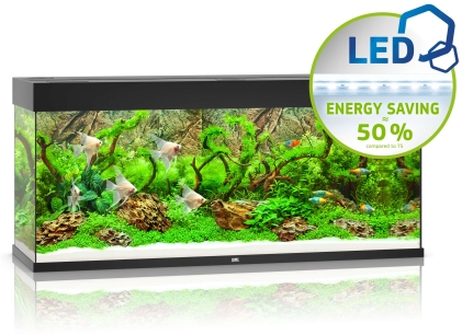Rio 240 LED schwarz Aquarium