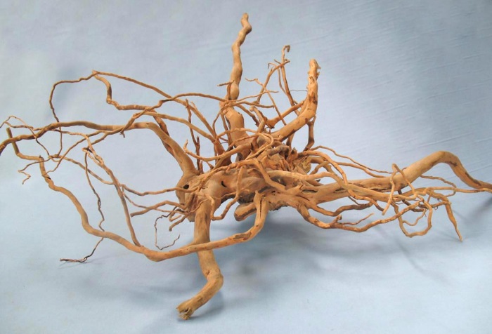 Finger-Wood XL (60 - 80 cm)