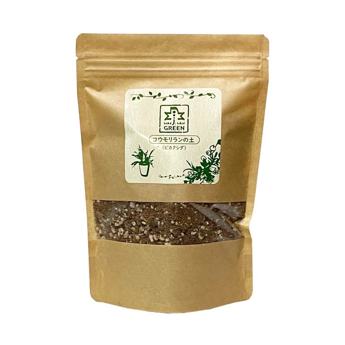 J. Green Soil Staghorn Fern 700ml