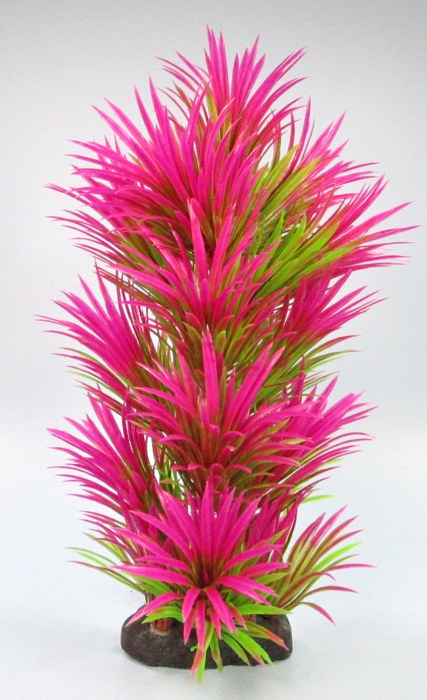 Pflanzen Deluxe L Nr. 38 (25 - 32 cm)